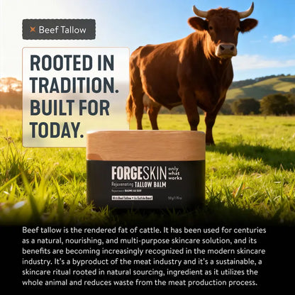 FORGE SKIN Wrinkle Defense Moisturizer